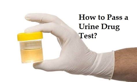 can i pass drug test with eye drops|How to Pass a Urine Drug Test for Marijuana: 20 Facts and Myths.